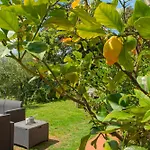 Caligo Secret Garden Vicino Alle Cinque Terre فندق مبيت وإفطار لا سبيتسْيا