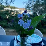 Caligo Secret Garden Vicino Alle Cinque Terre 3* لا سبيتسْيا