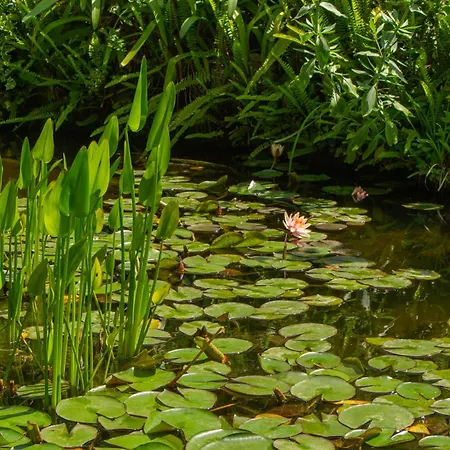 Caligo Secret Garden Vicino Alle Cinque Terre 住宿加早餐酒店 3*