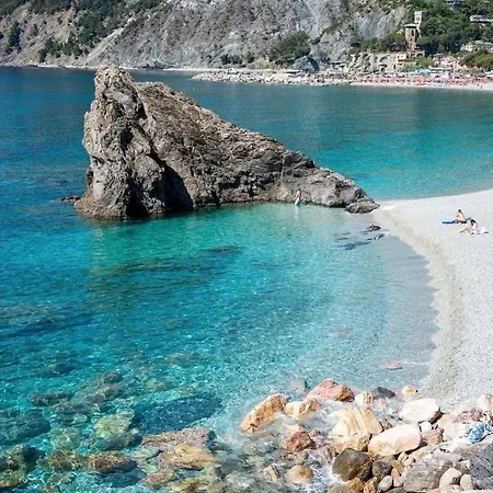 Caligo * La Spezia