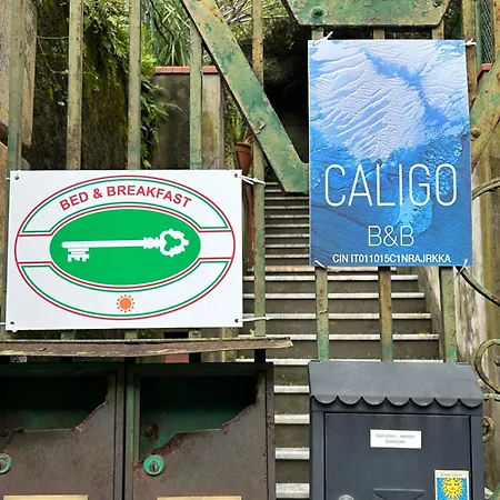 Caligo * La Spezia