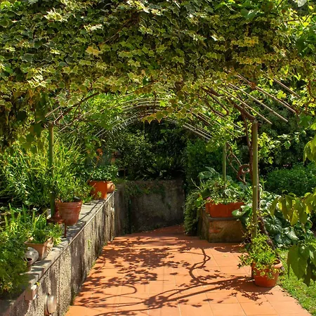 Caligo Stanza Privata In D'epoca Con Giardino E Vista Mare *