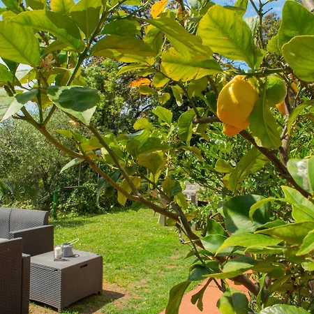 Caligo Stanza Privata In D'epoca Con Giardino E Vista Mare Oda ve Kahvaltı La Spezia