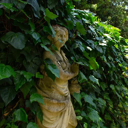 Caligo Stanza Privata In D'epoca Con Giardino E Vista Mare Frühstückspension La Spezia