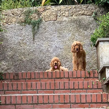 Caligo Stanza Privata In D'epoca Con Giardino E Vista Mare Frühstückspension