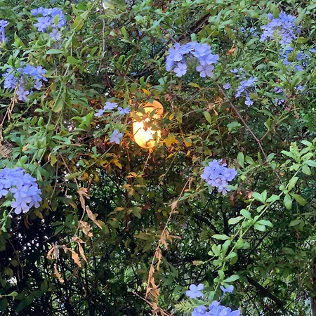 Caligo Stanza Privata In D'epoca Con Giardino E Vista Mare La Spezia