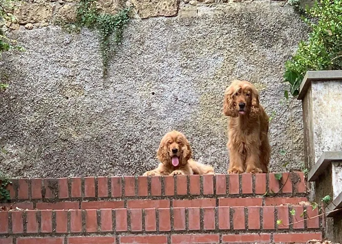 Caligo Secret Garden Vicino Alle Cinque Terre Bed & Breakfast