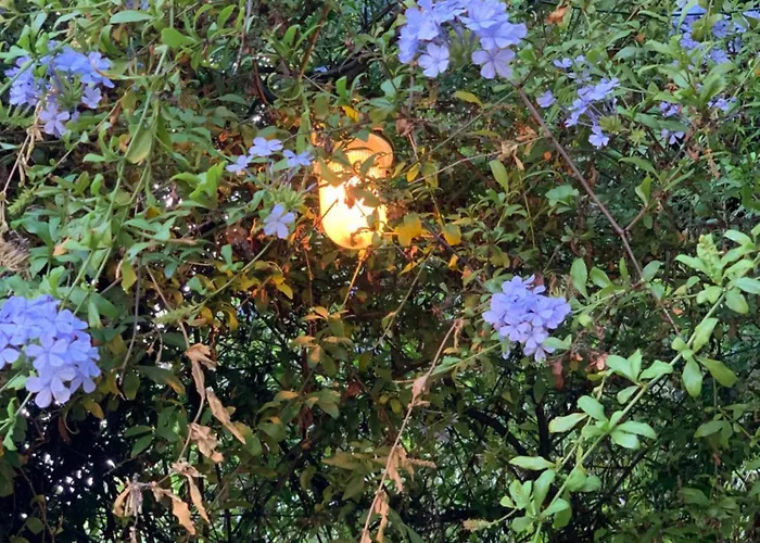 Caligo Secret Garden Vicino Alle Cinque Terre La Spezia